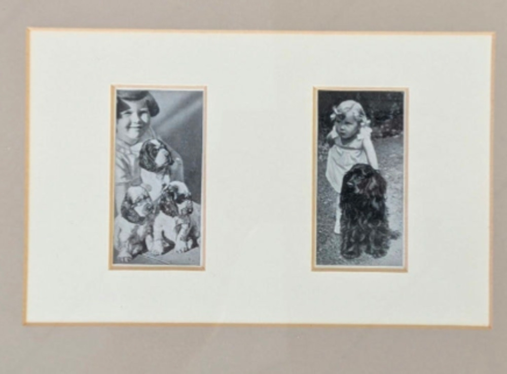 Vtg Cocker Spaniel Photos Framed Dogs and Friend Black White Lady Kitty Ritson